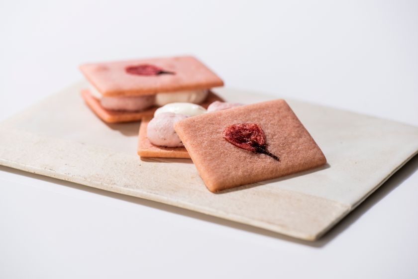 ~まもなく桜が開花~
渋谷 東急フードショーに、
おうちでお花見気分を味わう桜スイーツ約40種登場!