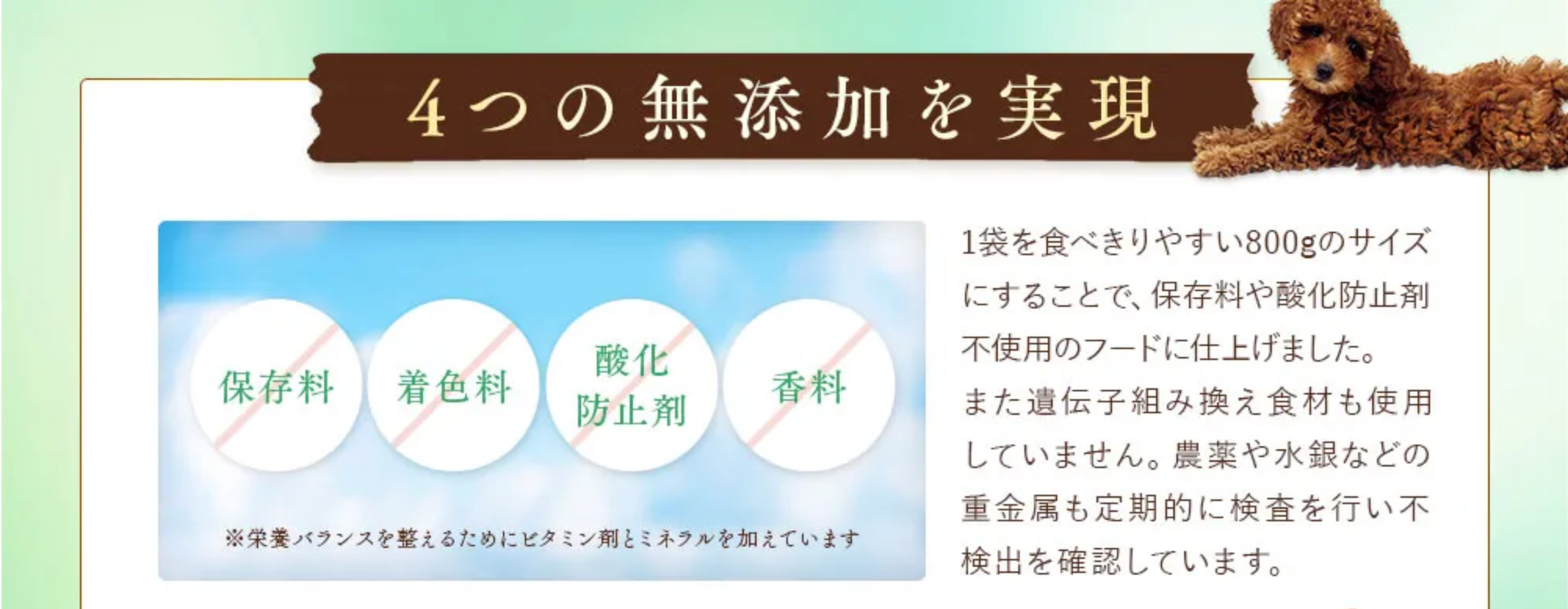 小型犬の悩みを解決！「愛犬のための腸活ごはん」ポンポンデリが100円