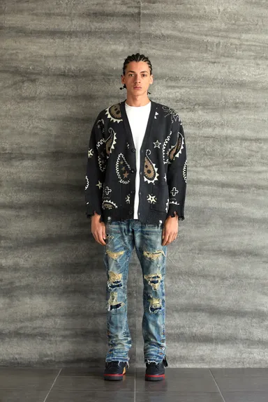 着画-ペイズリー01