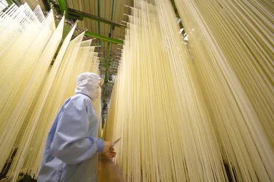 手延べうどん製造2