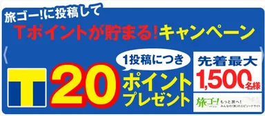 Tポイントプレゼント