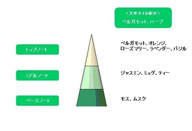 「フレッシュグリーン」　香り配合図