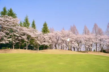 紫塚ゴルフ倶楽部