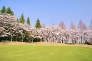紫塚ゴルフ倶楽部