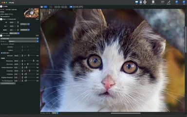 PhotoZoom Pro／操作画面