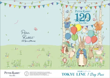 限定デザインの台紙