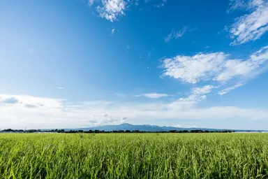 旧諫早湾干拓地　森山地域