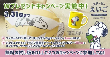 Wプレゼントキャンペーン！参考画像