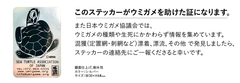ウミガメのステッカー