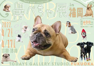 キービジュアル(横)