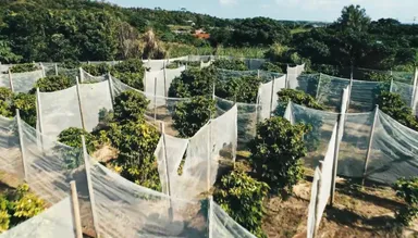 沖永良部島珈琲園空撮