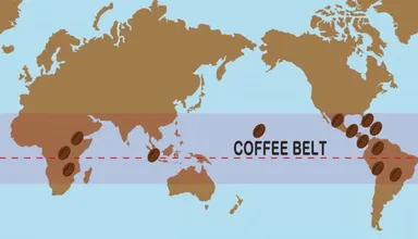コーヒーベルト