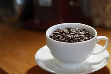 自家栽培・自家焙煎コーヒー