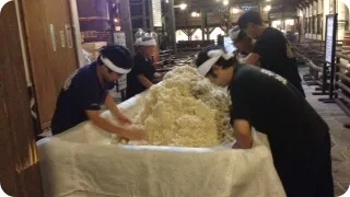 醸造発酵粕から抽出