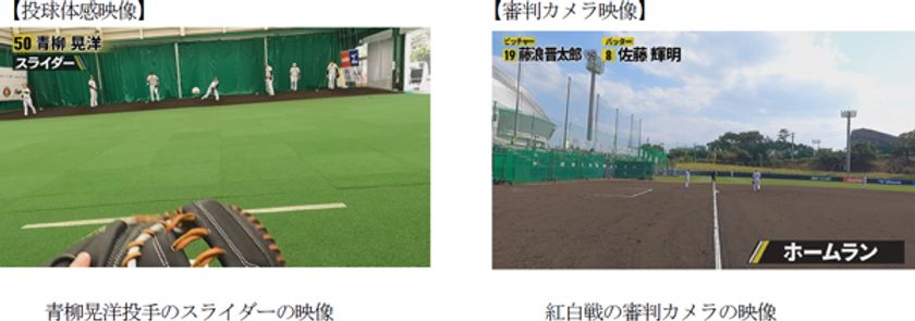 2022年「投球体感映像」「審判カメラ映像」を
3月18日（金）から公開
～佐藤輝明選手の紅白戦での本塁打を審判カメラで体験～