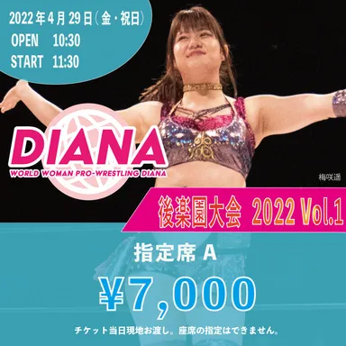 指定席A　7,000円