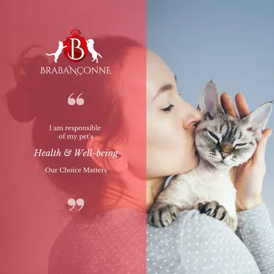 Health Well-being for C