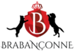 Suga Japan株式会社のロゴ