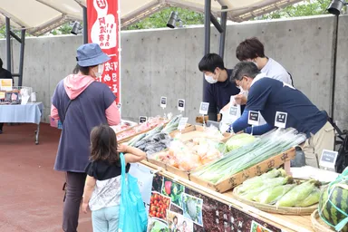 新鮮な地元の食材も(写真はイメージです)