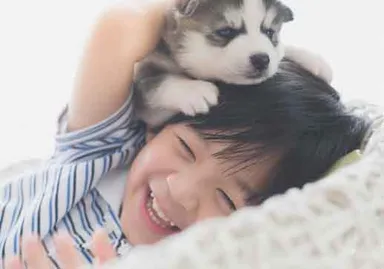 ペット周辺備品