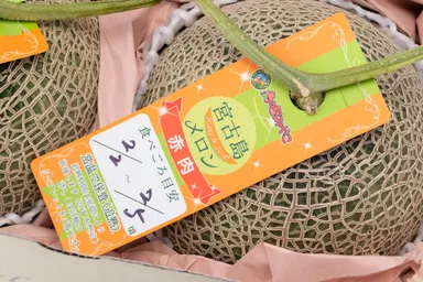 宮古島メロン食べ頃タグ