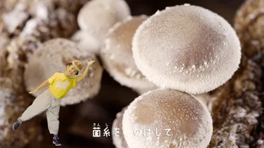 楽しくしいたけのことも学ぶことができる