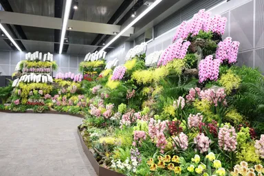 スプリング・バレー