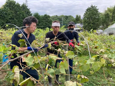 ボランティアの方々