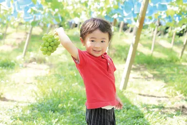 ぶどう園を未来に繋げたい