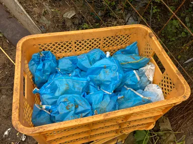 落下したぶどう