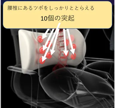 腰椎の周りをもみほぐす