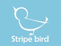 ストライプバード