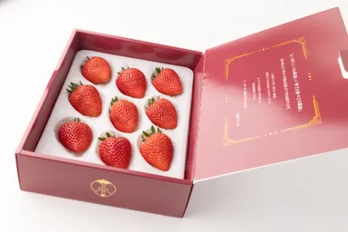フレッシュブランド苺「四重奏」