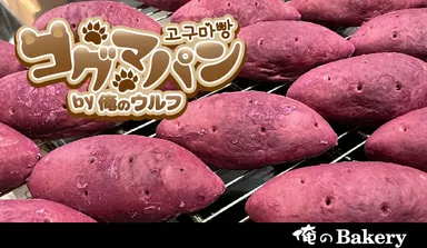 まるでさつまいものようなコグマパン