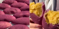 「コグマパン」のEC販売スタート