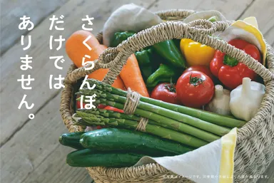 にきやの野菜定期便