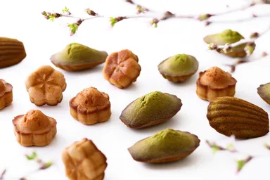 桜のフィナンシェと抹茶のマドレーヌ