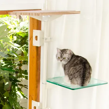 肉球を思う存分堪能！