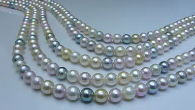 あこやファンシーマルチカラーネックレス