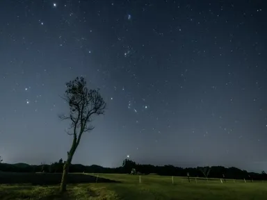 いすみ市から見える星空　撮影者：草原 学 氏