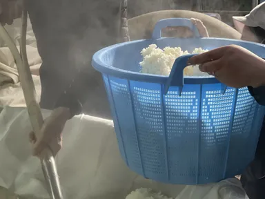 日本酒“はたしょう”のお酒造り風景