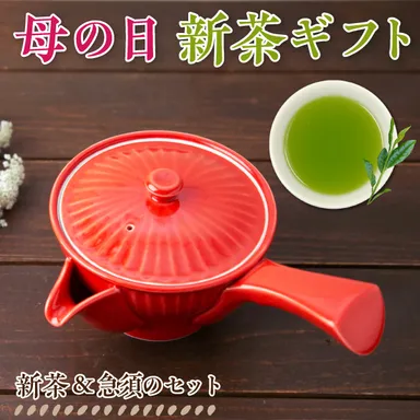 真っ赤な波佐見焼急須と新茶