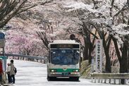 吉野山を走る臨時バス
