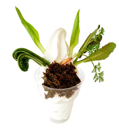 山菜ソフトクリーム