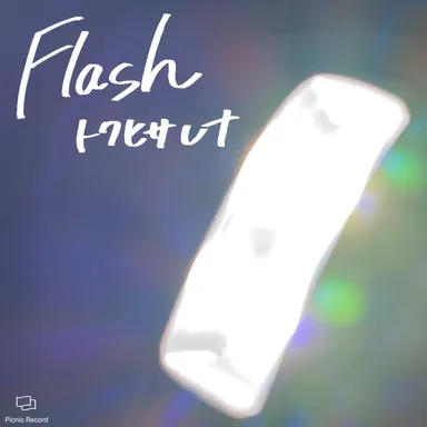 Flash　ジャケット写真