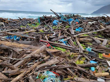 知床の海洋漂着ゴミ