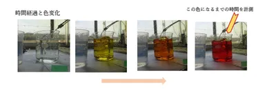 (3)ヨウ化カリウム試験