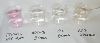 (5)ローダミン処理試験