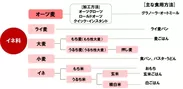 08.オーツ麦穀物分類