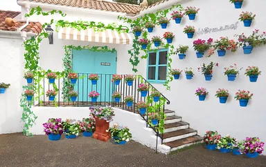 サンタクルス通り